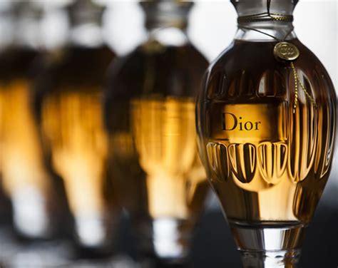 dior amphora bottle|dior amphora 175 anniversary edition.